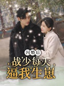 闪婚后战少每天逼我生崽（91集）百度网盘资源