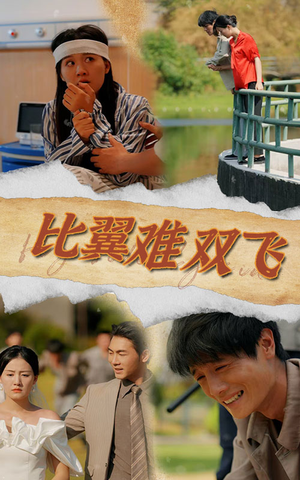 比翼难双飞（30集）最新热门短剧
