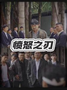 愤怒之刃（35集）全集免费观看