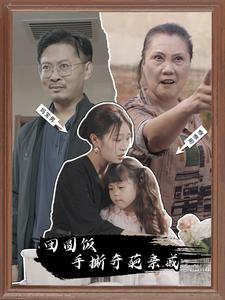 团圆饭手撕奇葩亲戚（40集）短剧全集完整版