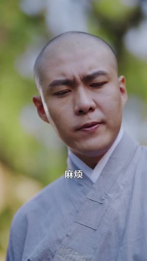 天下嵩山（29集）短剧在线看