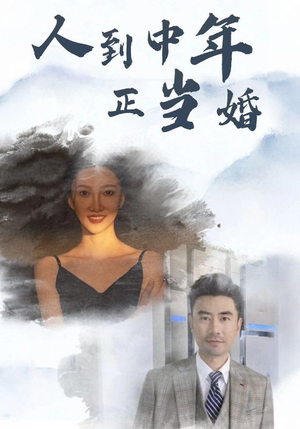 人到中年正当婚（81集）全剧免费观看