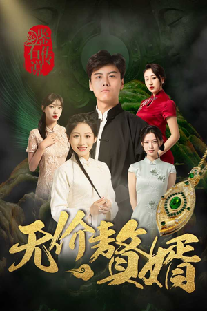鉴宝传说之无价赘婿（100集）短剧热播中