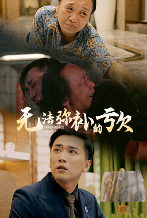 无法弥补的亏欠（59集）在线观看完整版
