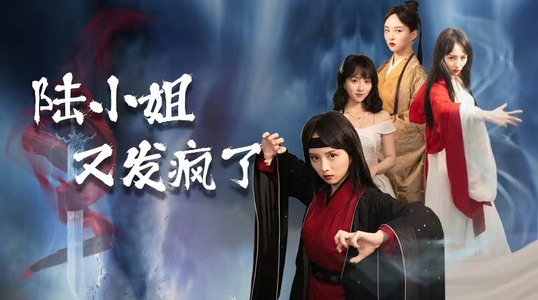 陆小姐又发疯了（28集）更新时间一览表