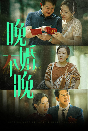 晚婚不晚（30集）红果免费短剧