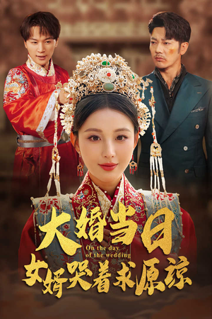 大婚当日，女婿哭着求原谅（31集）红果免费看短剧