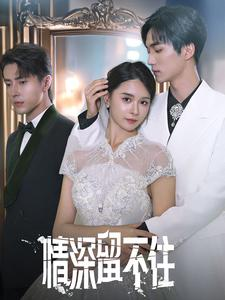 情深留不住（80集）第三季