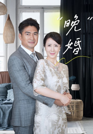 晚婚（65集）短剧排行榜