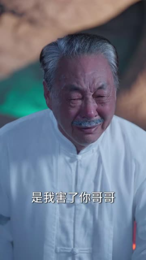 人中之凤（68集）超好看短剧推荐
