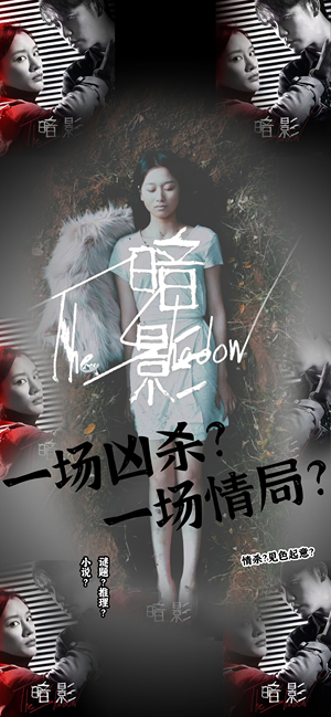 暗影（50集）完整版免费观看