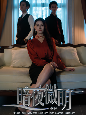 暗夜微明（70集）短剧也太好看了