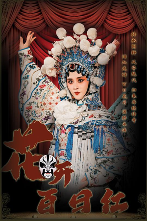 花开百日红（30集）全集完整版