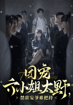 团宠六小姐太野，禁欲妄爷难把持（90集）怎么看全集
