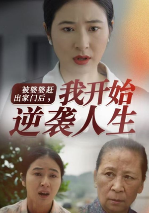 被婆婆赶出家门后我开始逆袭人生（83集）好看短剧推荐