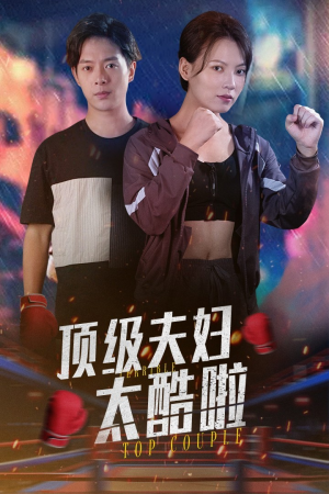 顶级夫妇太酷啦（68集）男主角是谁