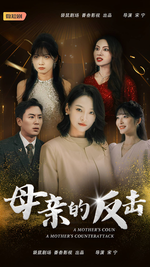 母亲的反击（34集）经典老剧免费看