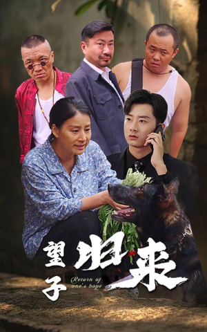 望子归来（50集）无需充值尽情看