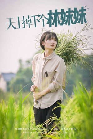 天上掉下个林妹妹（81集）超级好看的短剧