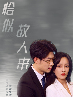 恰似故人来（79集）红果短剧免费看