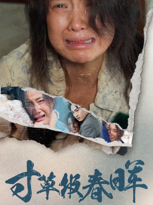 寸草报春晖（65集）一口气追完短剧