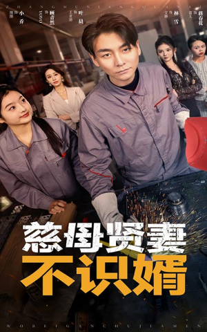 慈母贤妻不识婿（45集）80到100集