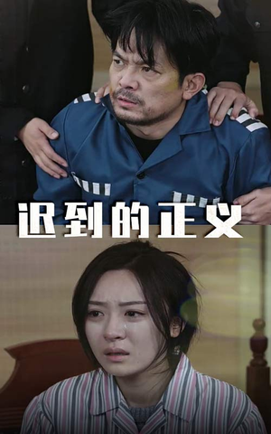 迟到的正义（39集）热门短剧榜单