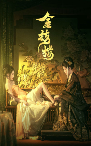 金枝楼（52集）超火热门短剧