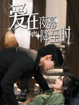 爱在夜幕降至时（73集）视频在线看