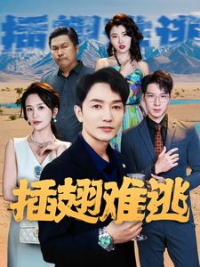 插翅难逃（43集）推荐你们也去看