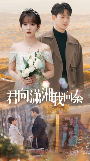 君向潇湘我向秦（30集）短剧排行榜