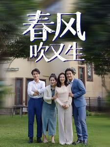 春风吹又生（56集）让你一口气看完