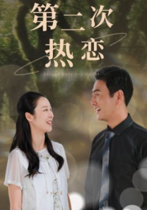 第二次热恋（48集）精彩的短剧
