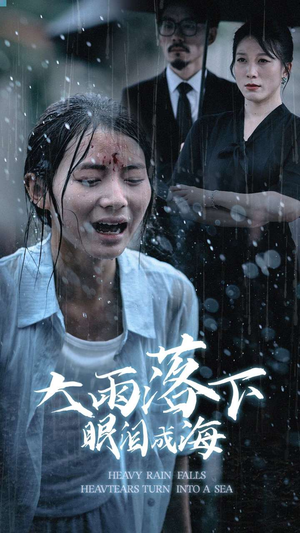 大雨落下眼泪成海（68集）短剧中追到爽