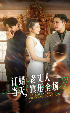 订婚当天，老丈人镇压全场（29集）海量短剧免费看