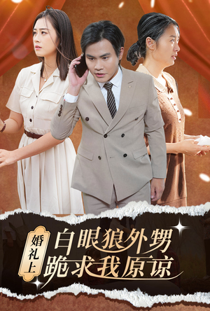 婚礼上白眼狼外甥跪求我原谅（35集）番茄短剧免费看