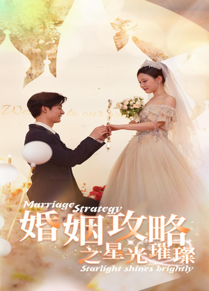 婚姻攻略之星光璀璨（32集）免费看全集