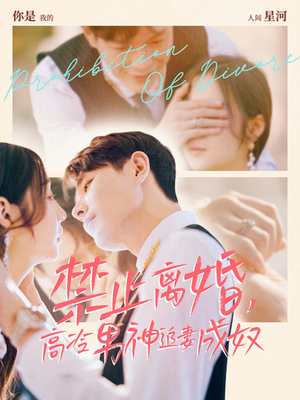 禁止离婚，高冷男神追妻成奴（57集）百度网盘在线看