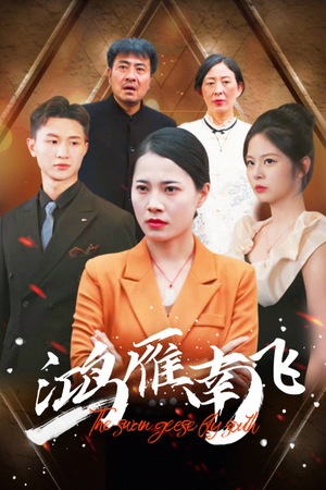 鸿雁南飞（64集）免费观看全集