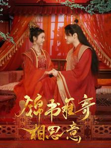 锦书难寄相思意（97集）一共多少集