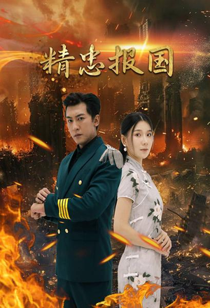 精忠报国（61集）精彩短剧分享