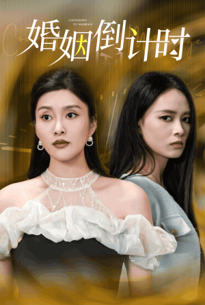 婚姻倒计时（30集）在线看