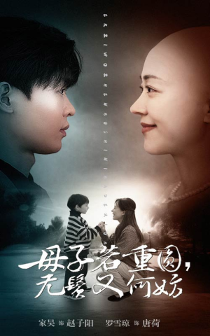 母子若重圆，无鬓又何妨（40集）免费观看全集