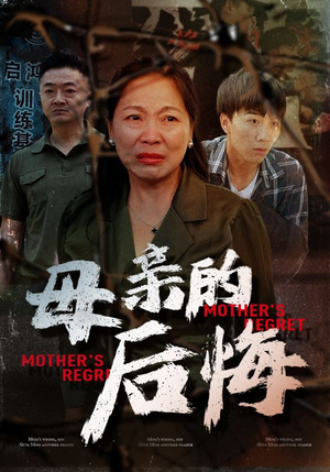 母亲的后悔（30集）评价怎么样