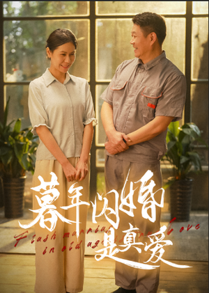 暮年闪婚是真爱（36集）免费观看