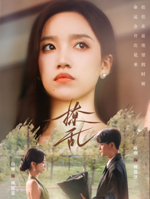 撩乱（65集）在线看免费版