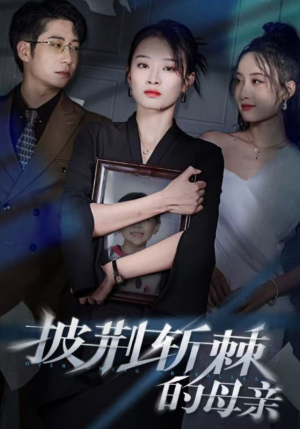 儿子死后绝望妈妈杀翻全场 （41集）流畅播放免费看