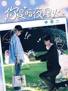 你是暗夜星火（120集）快来看短剧