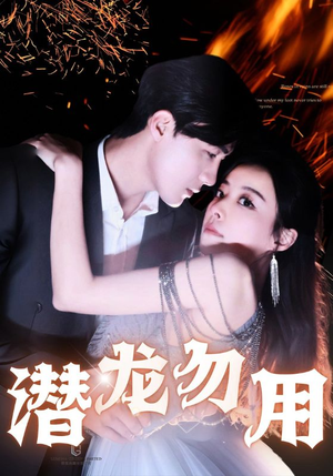 潜龙勿用（87集）免费在线看