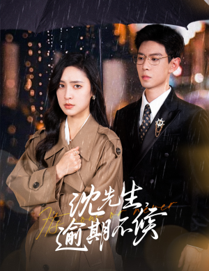 沈先生，逾期不候（75集）看到大结局